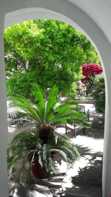Back To Sorrento Bed and Breakfast Sant'Agnello Eksteriør billede